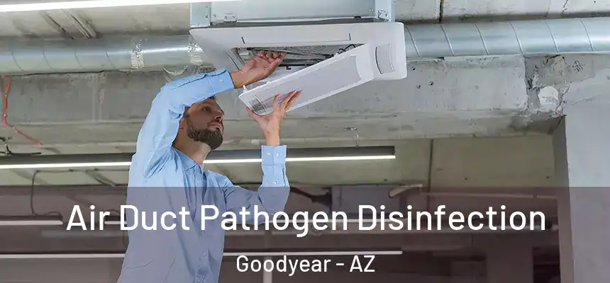 Air Duct Pathogen Disinfection Goodyear - AZ