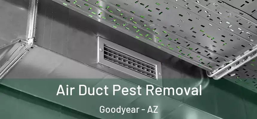 Air Duct Pest Removal Goodyear - AZ