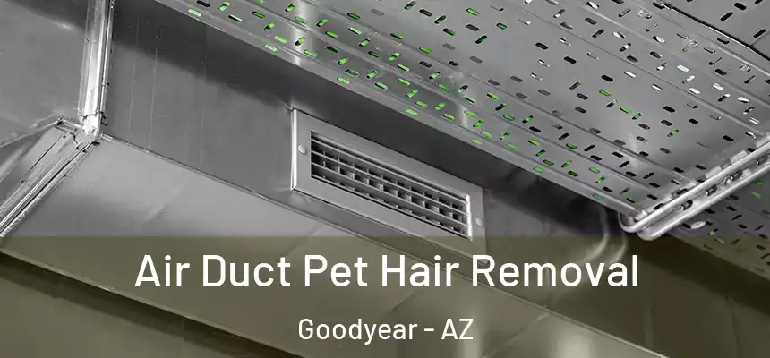 Air Duct Pet Hair Removal Goodyear - AZ