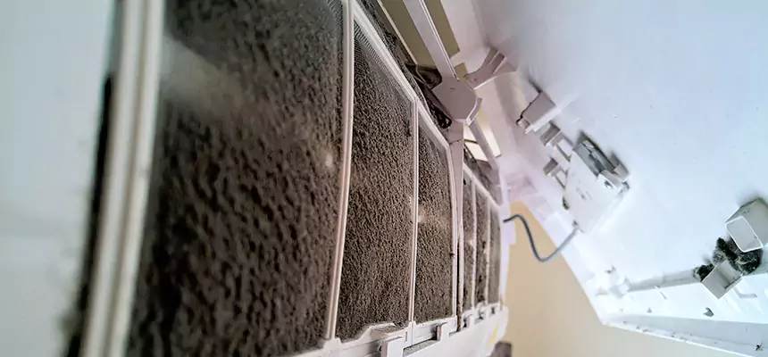 Preventive Air Duct Bacteria Removal in Goodyear