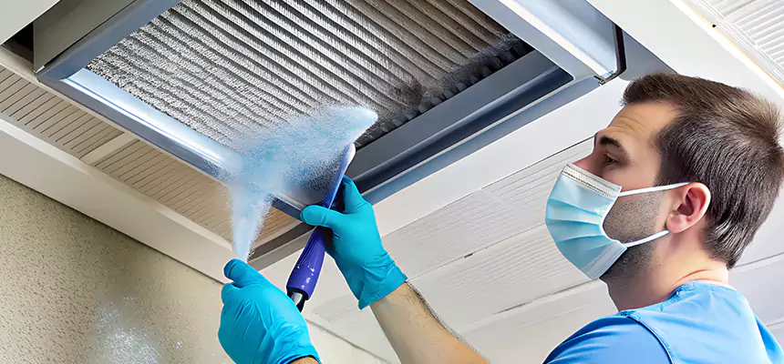 Proactive Dryer Vent & Auxiliary Duct Pollen Cleanup in Goodyear, AZ