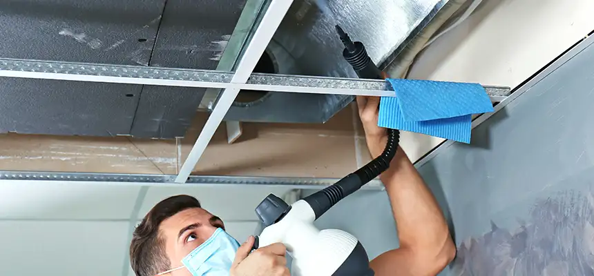 Our Air Duct Rodent Removal Services in Goodyear, AZ