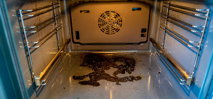 Our Dryer Vent Mold Cleaning Services in Goodyear, AZ