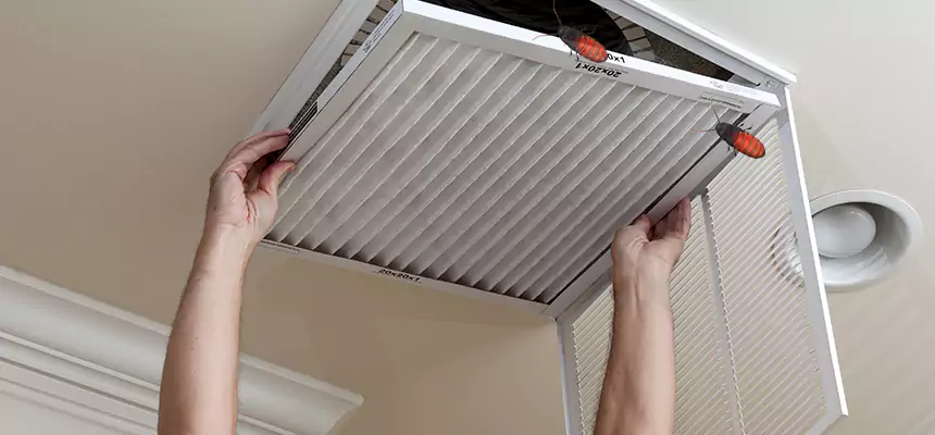 Our Insect Removal from Air Ducts Services in Goodyear, AZ