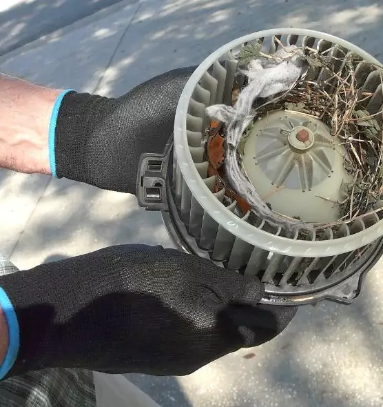 About Air Duct Mice Removal in Goodyear, AZ