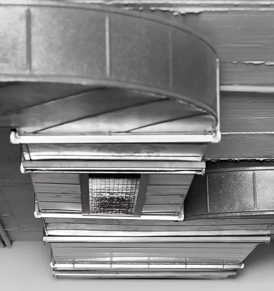 Professional Air Duct Pet Hair Removal in Goodyear, AZ