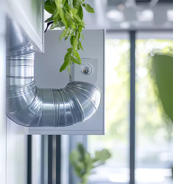 Professional Eco-Safe Dryer Vent Cleaning in Goodyear, AZ