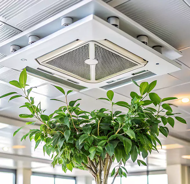 Why Homeowners & Businesses Trust Us in Goodyear, AZ?