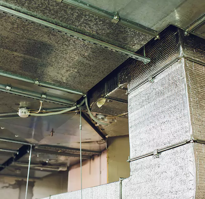 Why Homeowners & Businesses Trust Us in Goodyear, AZ?